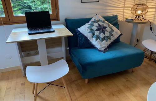 Studio privé dans pavillon - Foto 10