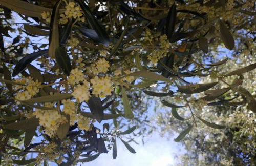 Vacanza in Ogliastra - Foto 26