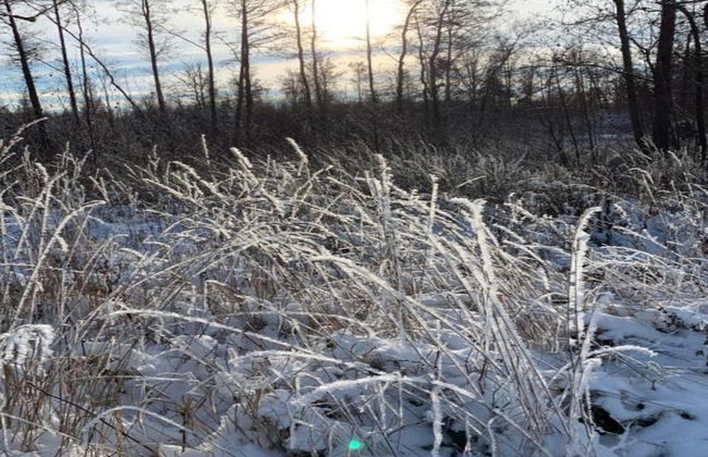 Apartment With Views of the Ore Mountains - Foto 19