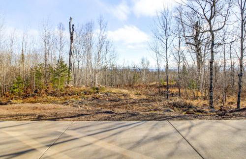 2 Mi to Lutsen Mtns Modern Cabin with Fire Pit! - Foto 29