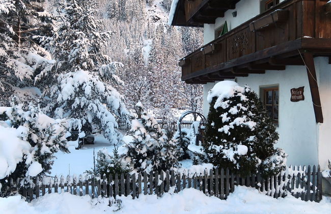 Haflingerhof Enzian - Foto 40