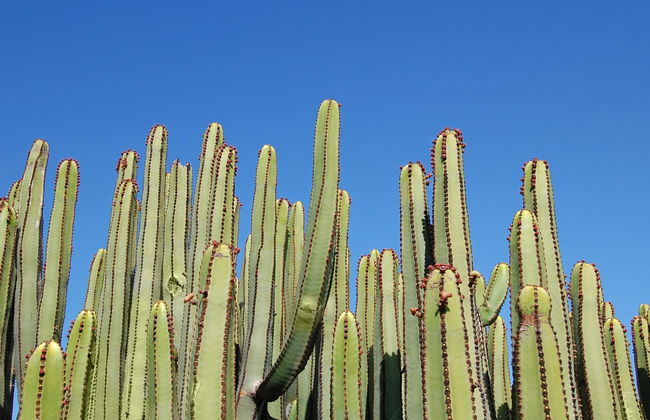 Salobre Villa 2 - Foto 55