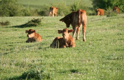 Casa Rural el Ribero I - Photo 22