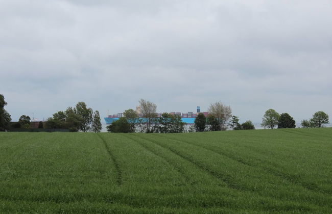 "Harre" - 300m from the sea - Foto 26