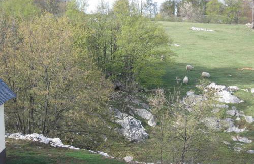 Apartments Sven - Foto 43