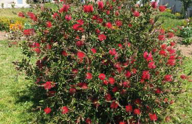 Casa Virginia - Foto 44