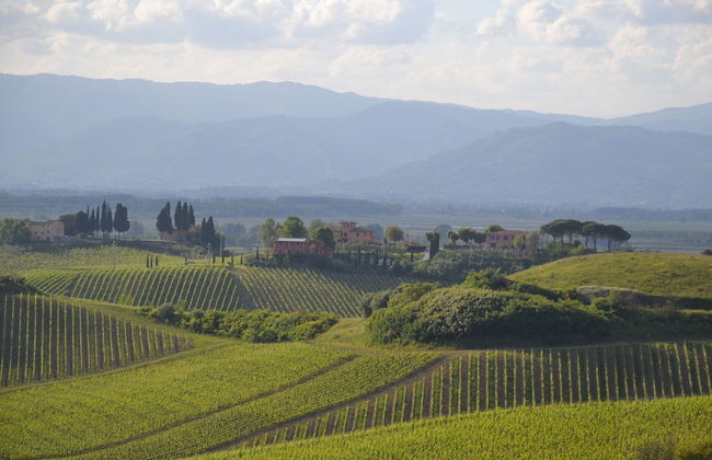 Agriturismo Corte in Poggio - Foto 71