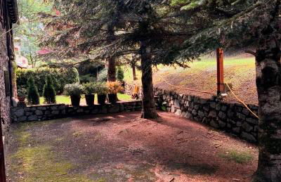 Arties Lodge - Photo 25