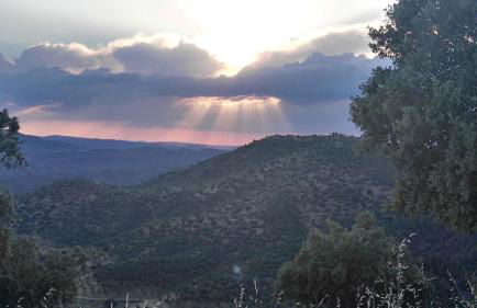Vivienda Turística Alojamiento Rural EL Trillo - Foto 4