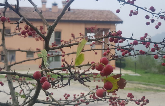 Agriturismo Ben Ti Voglio - Foto 31