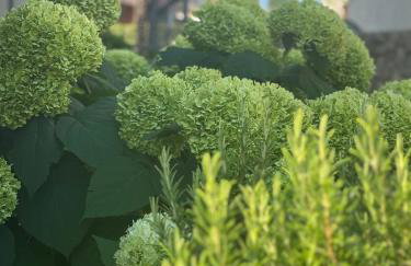 Apartments Ein Haus in der Sonne - Foto 38