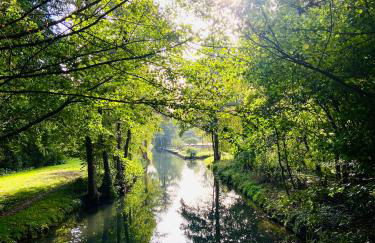 Tiny House im Spreewald - Lübbenau - Foto 18