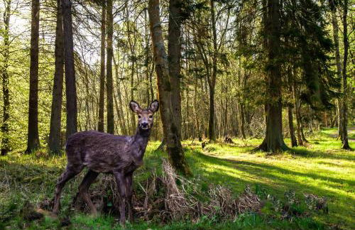 Settlers Lodge - Foto 27