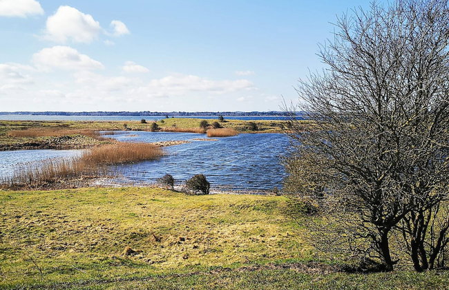 4 Star Holiday Home in Gedsted - Photo 30