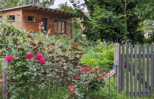 Klein aber fein, Ferienhaus am Tonteich - Photo 1