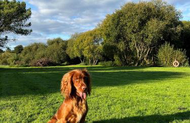 Torr Cottage - Photo 10