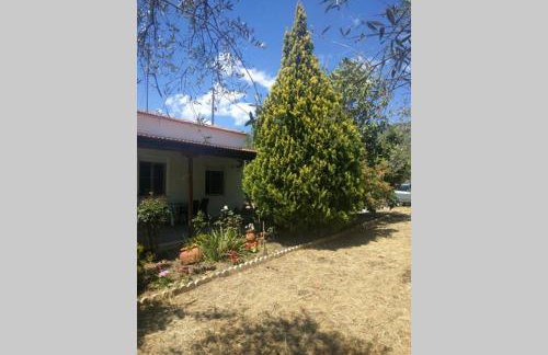 Irinis Cottage - Foto 19