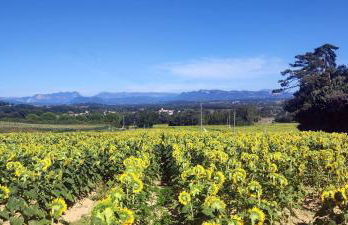 Lou Cigalou - Au Calme - Grand Jardin - Piscine Partagée - Parking - Campagne et Idéalement Situé Proche A7 et Montélimar - Foto 13