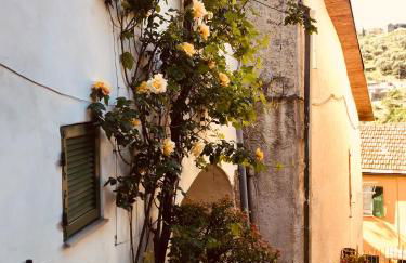 Piccola Navetta - Foto 49