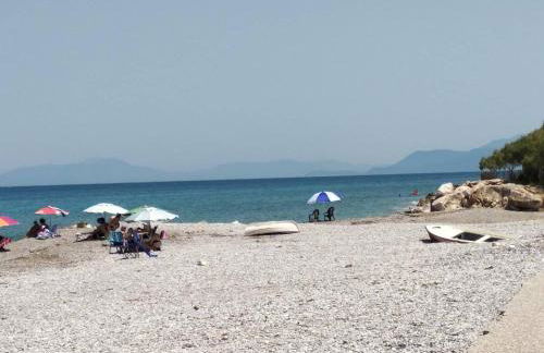 SgS Luxury Apartments - Foto 50