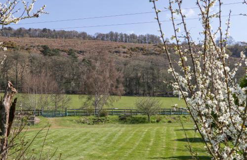 The Cottage at Rocklands Farm - Foto 20