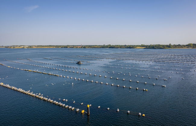 Lakefront Retreat w/ Hammock - Foto 26