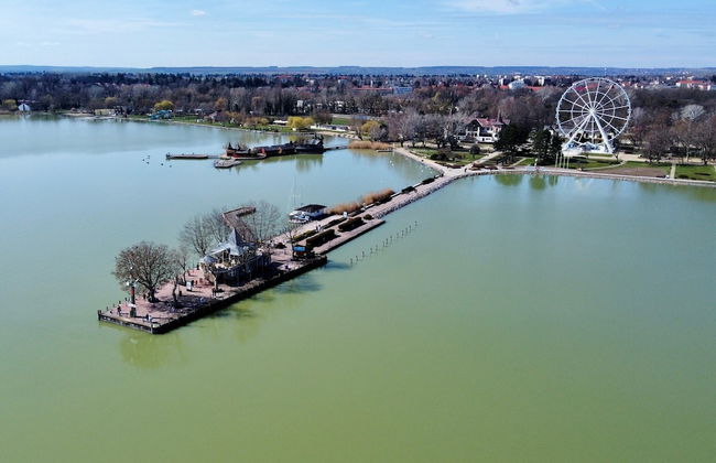 The Bird of Happiness-heaven for Dogs - Foto 39