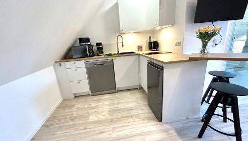 Ferienwohnung Loft Kirchdorf - Foto 5, stove, dishwasher, toaster