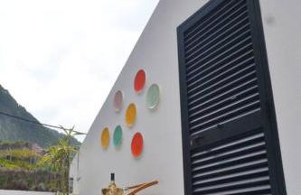 Lazy Lizard Studio - Foto 63