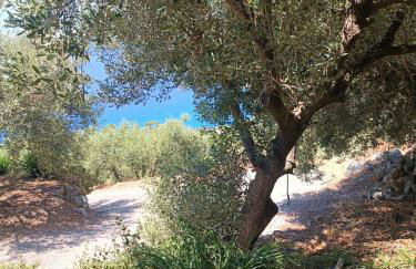 Ville Selena e Gemma - Foto 50