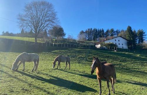 Country loft Zarautz- San Sebastián - Foto 16