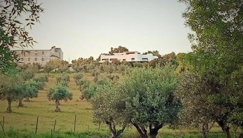 Retiro da cegonha - Foto 3