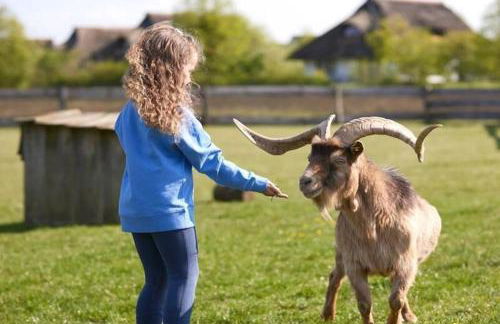 Ferienhaus im Van der Valk Resort in Linstow - Foto 19