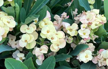 Casa Nuna Modern Loft with Private Garden Terrace - Foto 28