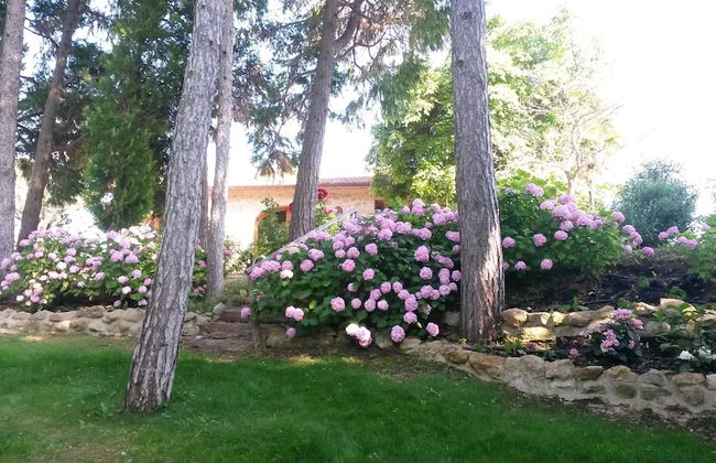 Borgo Sant'Ambrogio Resort - Foto 80