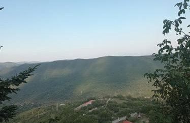 Άγρια Λούλουδα Κατοικία Ευτυχία - Photo 43