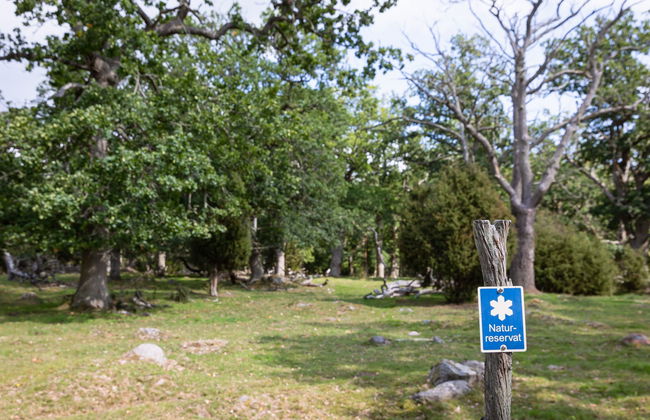 4 bedroom House in Johannishus with garden - Photo 23