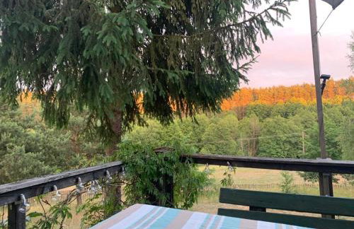 Dom Mossa - Photo 27