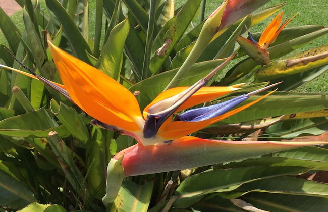 Stunning Cape Peninsula Holiday Villa With Pool - Photo 19