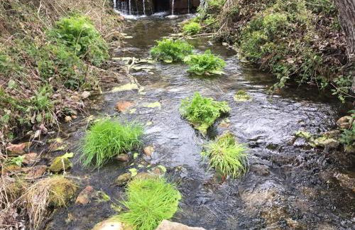 El Carro del Abuelo - Foto 32