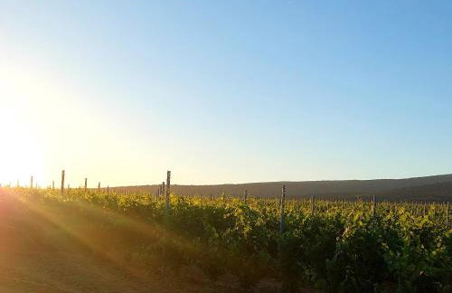 Appartement Roussillon - Photo 18