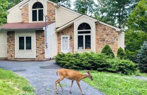 Serenity Falls - Stylish 4Bdr Mountain Retreat, Hot Tub, Pool - Foto 1