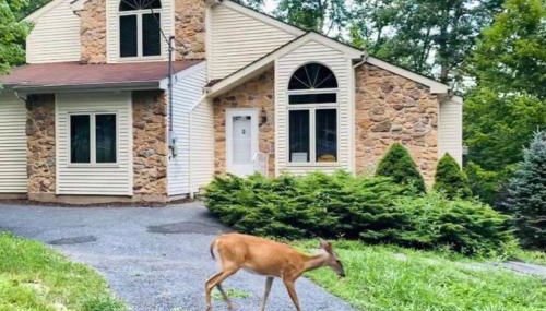 Serenity Falls - Stylish 4Bdr Mountain Retreat, Hot Tub, Pool - Foto 1