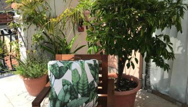 Appartamento con 3 camere 3 bagni e posto auto Libri e Giardini - Foto 5