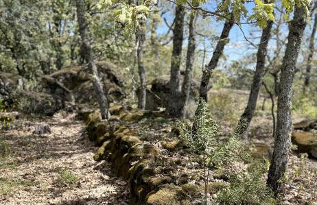 Casa Rural Finca De Musgo - Foto 58
