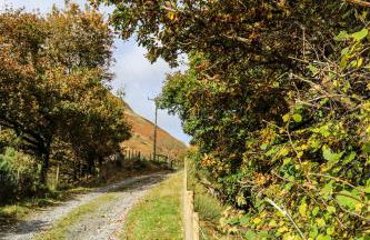 Nant Cafn - Hafan Hideaways Eryri - Photo 24