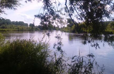 Apartamenty Warka - Foto 8