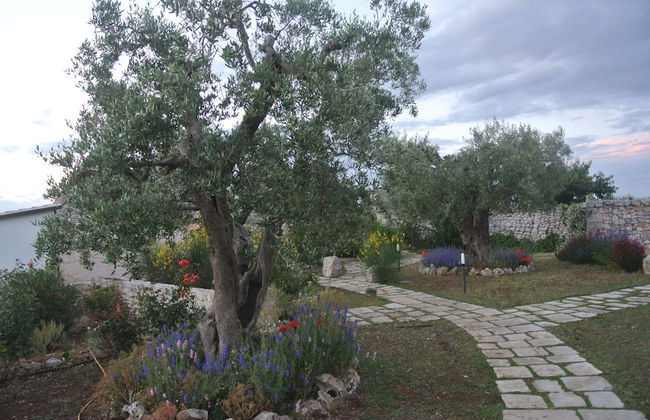 Trulli Paparale - Foto 28