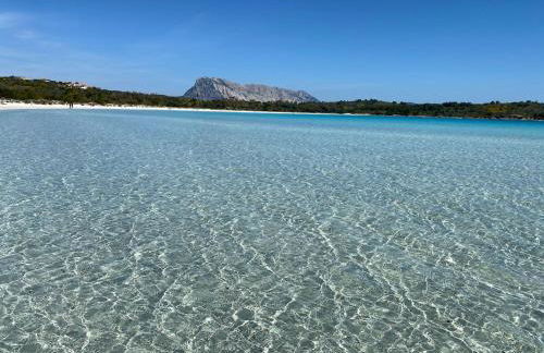 Villa Vittoria San Teodoro, a 2 minuti dalle spiagge - Foto 23