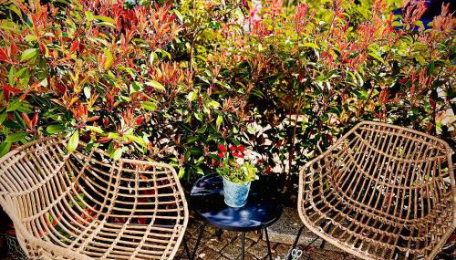 Schöne Aussichten mitten in Berlin - il sole - Foto 3, Garden